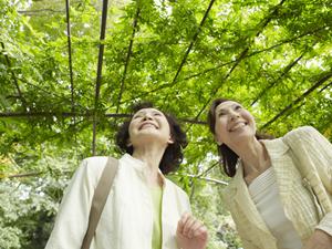 北海道苫小牧市に位置する東横INN苫小牧駅前:快適な宿泊施設と便利なアクセスの詳細ガイド