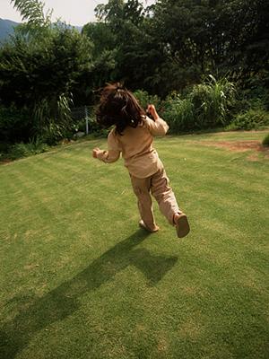 家族で楽しむ石垣島アクティビティ完全ガイド：初心者向けの安全な体験とフォトサービスの魅力